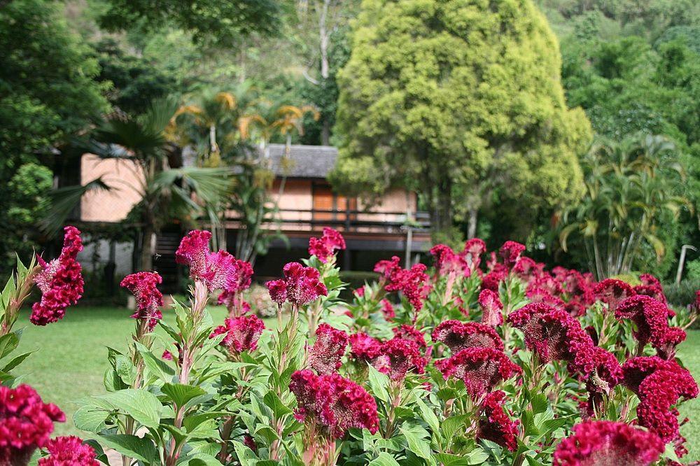 Phu Ing Fah Resort Pong Yaeng Exterior foto